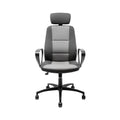**Chaise de Bureau Ergonomique avec Dossier Réglable et Accoudoirs**